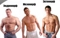 три мужчины с разными типа телосложения